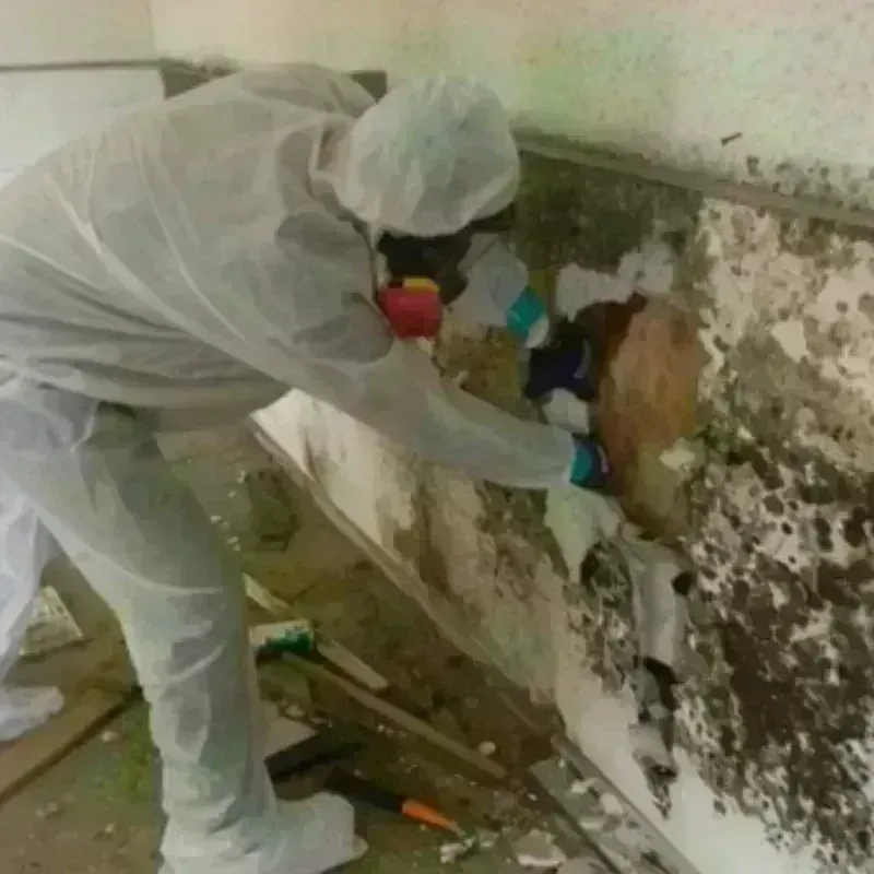 Mold Remediation and Removal in Franklin County, NY