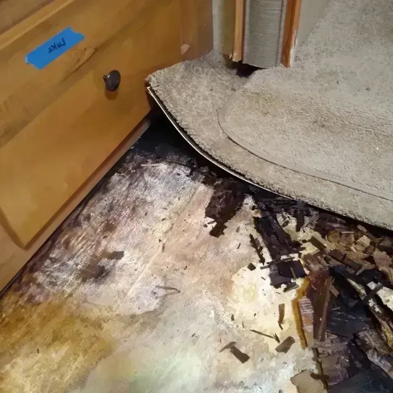 Wood Floor Water Damage in Franklin County, NY